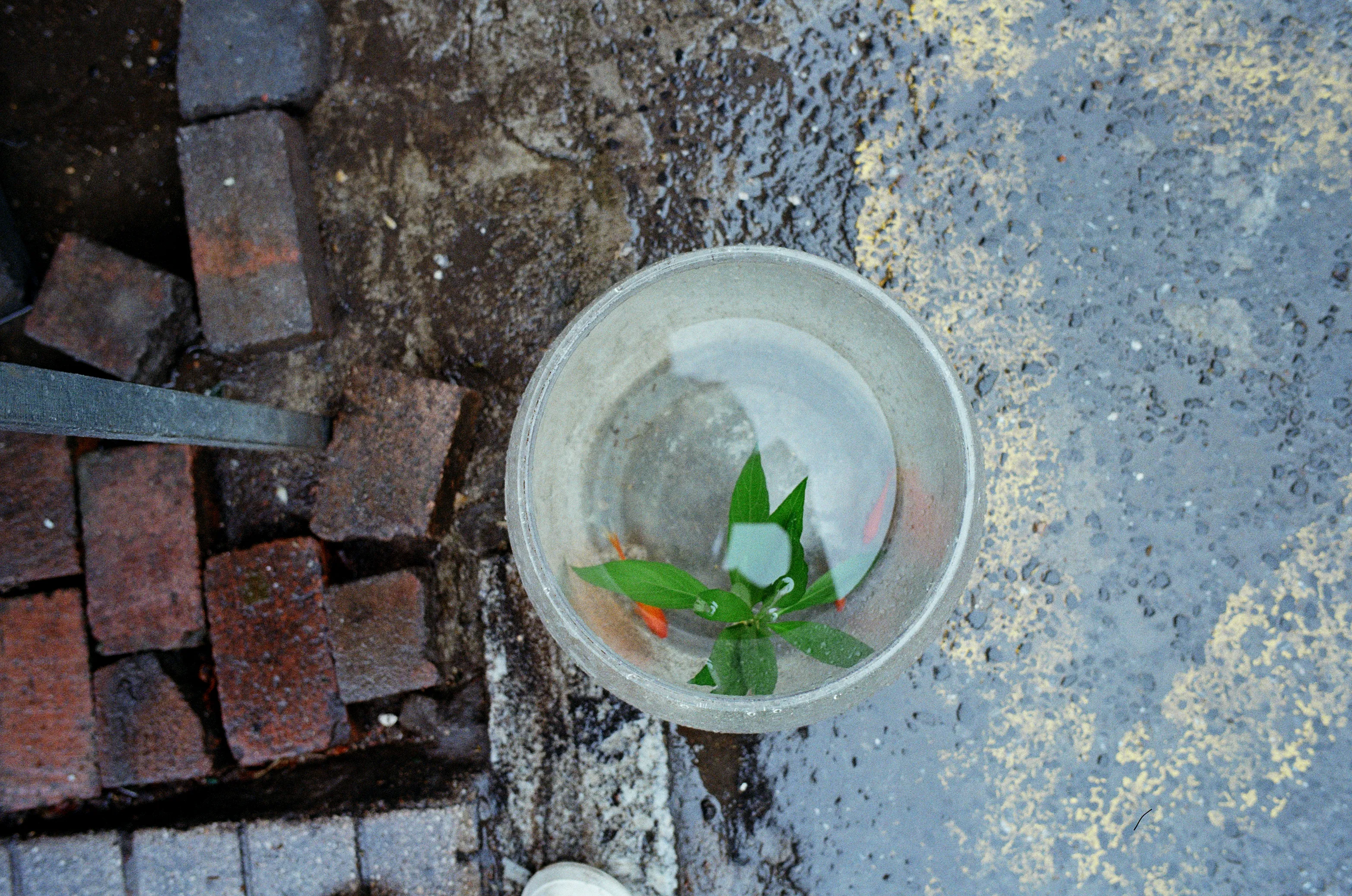 the here, the there, photograph 7